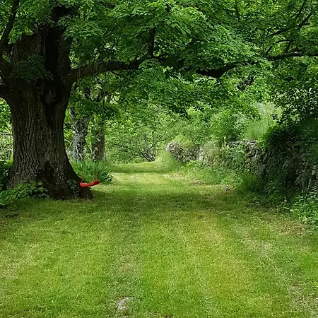 Chasteuil Château -vue Sur Le Verdon Et Tranquillité