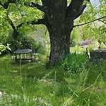 度假居 Maison Du Chateau, Serenite Au Coeur Du Verdon 卡斯特拉讷