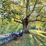 度假居 Maison Du Chateau, Serenite Au Coeur Du Verdon *