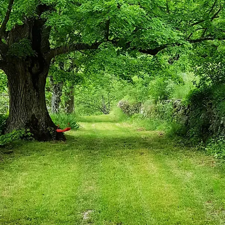 Maison Du Chateau-vue Sur Le Verdon Et Tranquillite בית נופש