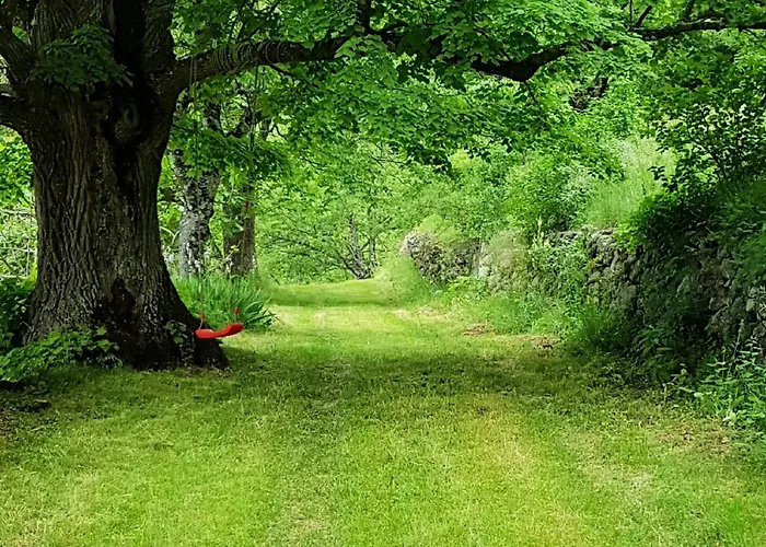 Maison Du Chateau-vue Sur Le Verdon Et Tranquillite בית נופש